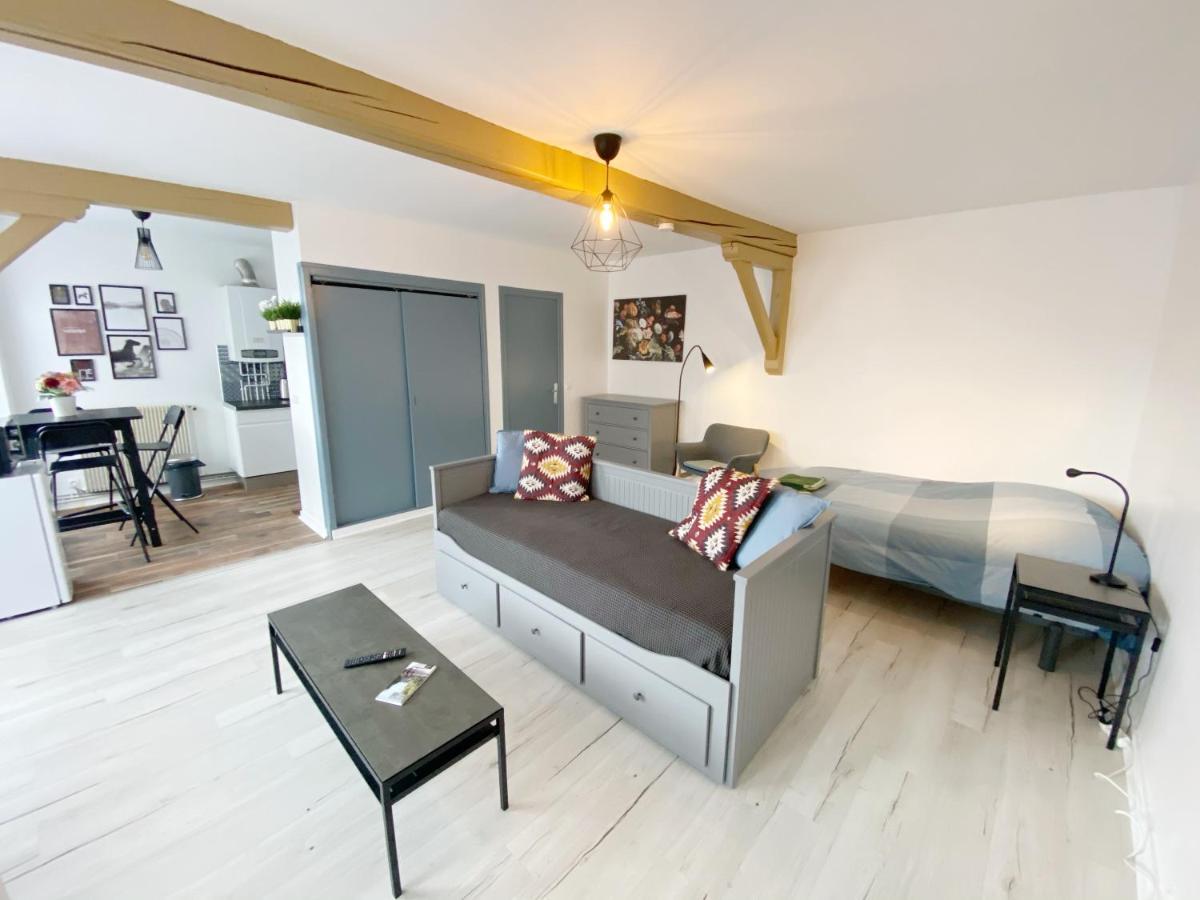 015 Chic & Cosy Studio 41M2 Hypercentre Wifi Smart Tv Netflix サン・テティエンヌ エクステリア 写真