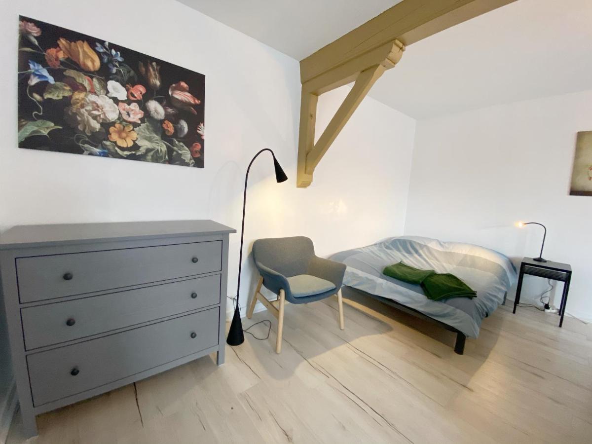 015 Chic & Cosy Studio 41M2 Hypercentre Wifi Smart Tv Netflix サン・テティエンヌ エクステリア 写真