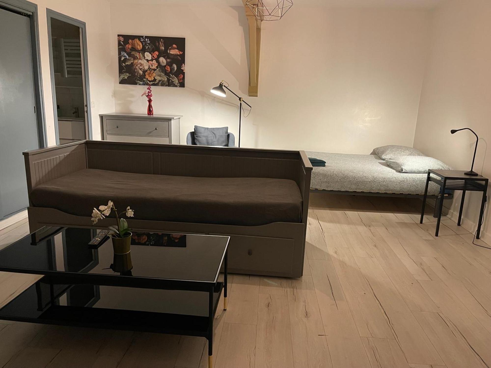 015 Chic & Cosy Studio 41M2 Hypercentre Wifi Smart Tv Netflix サン・テティエンヌ エクステリア 写真